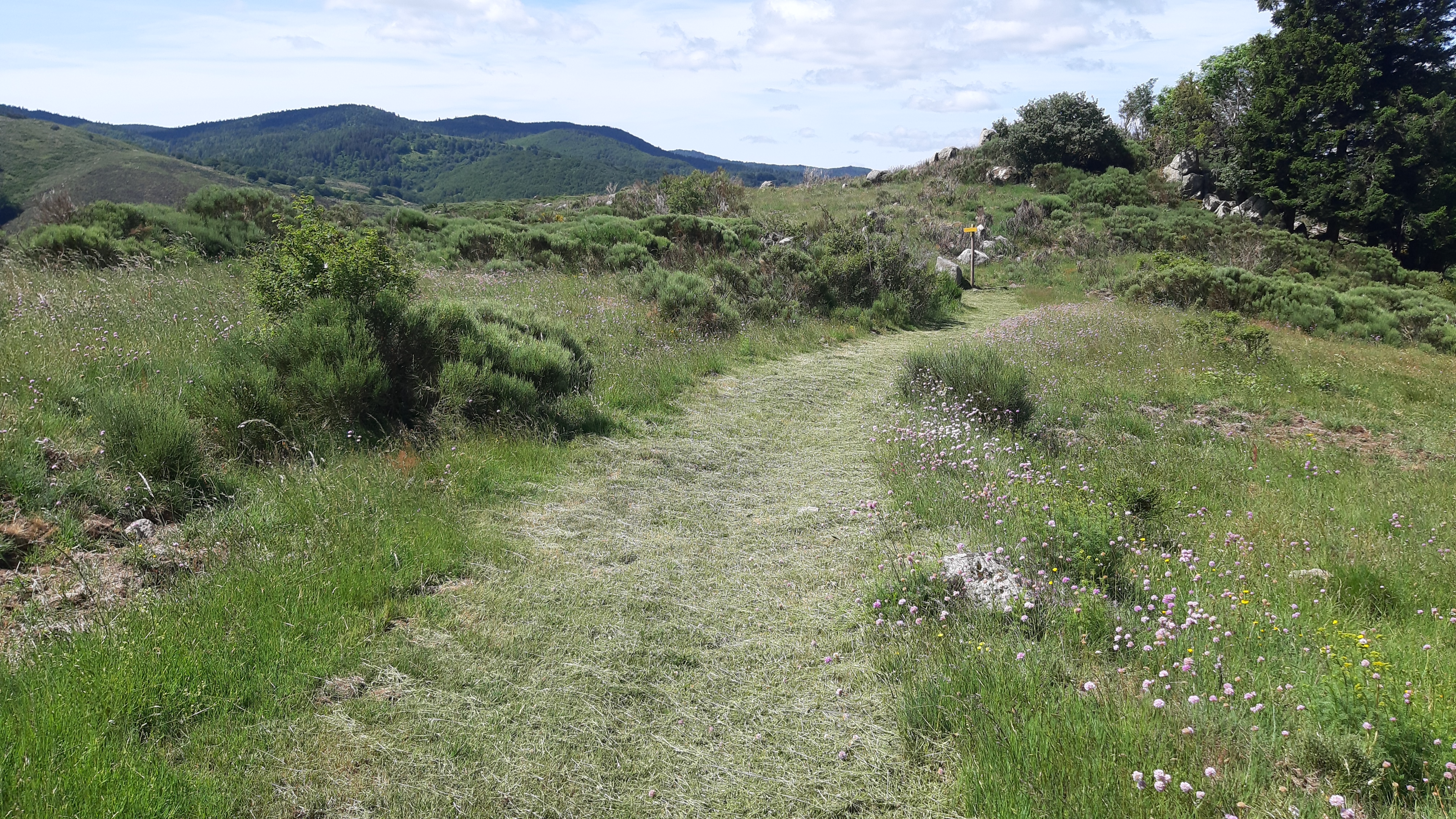 photo19