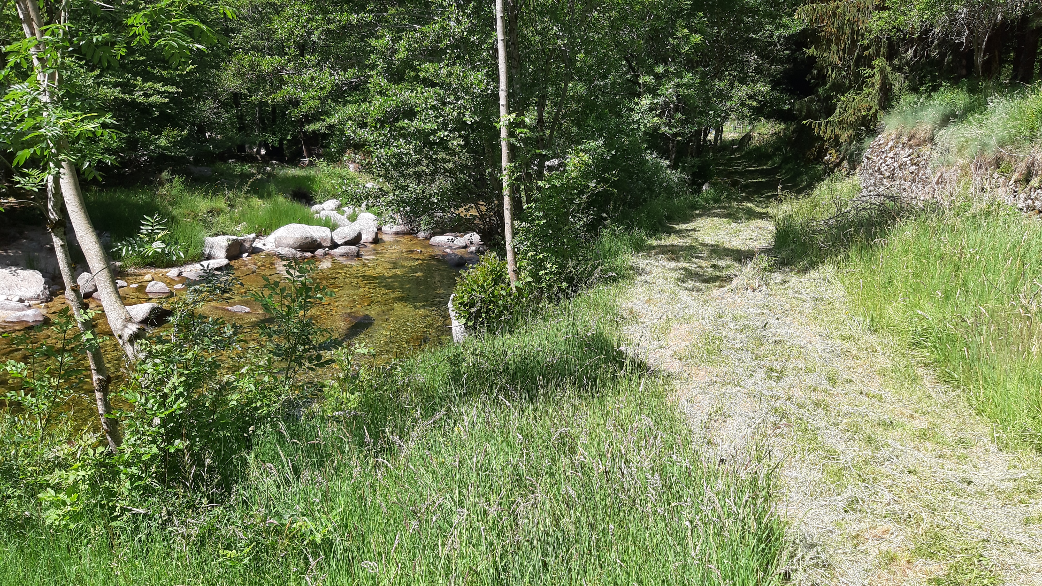 photo21