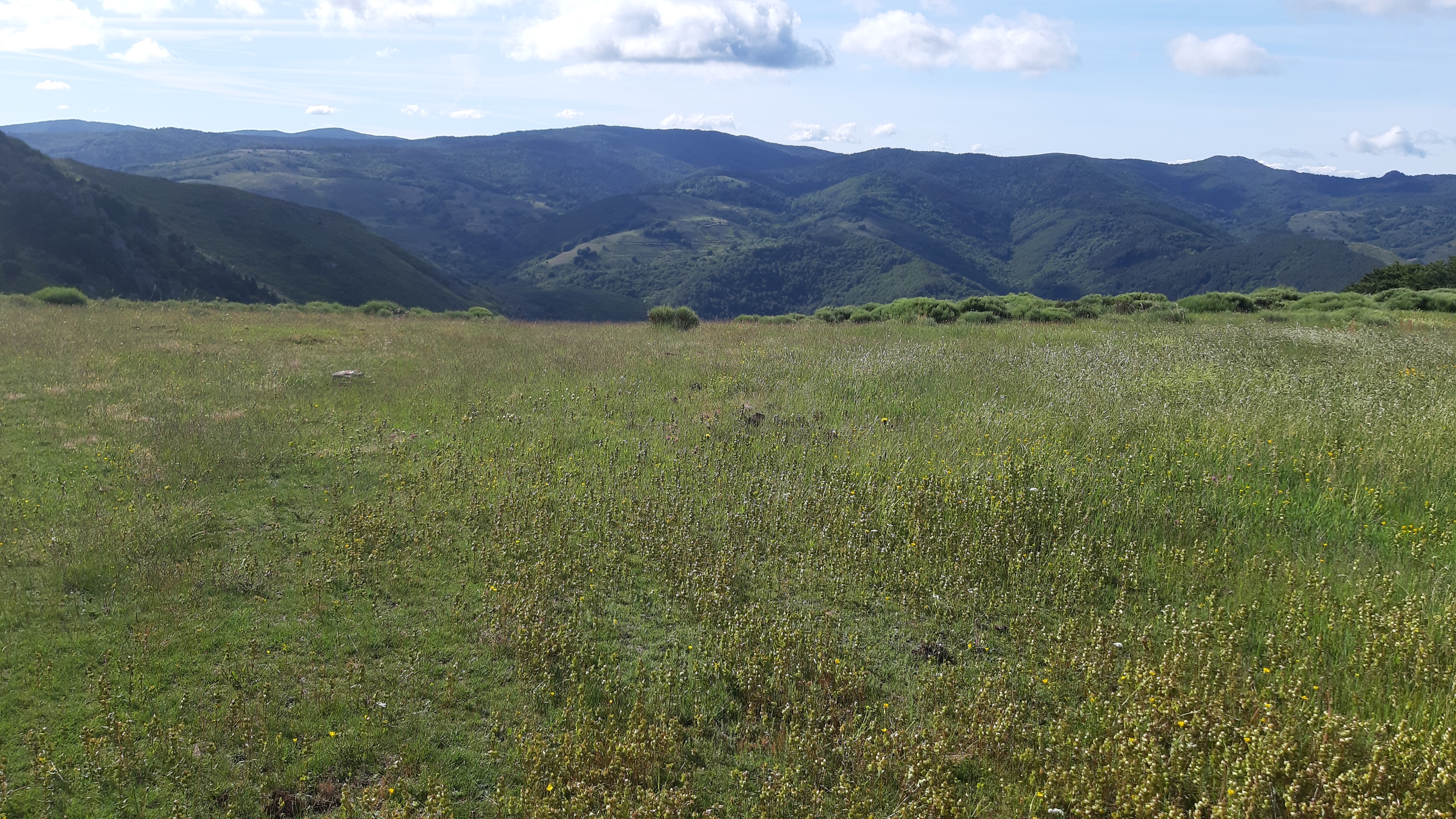 photo9